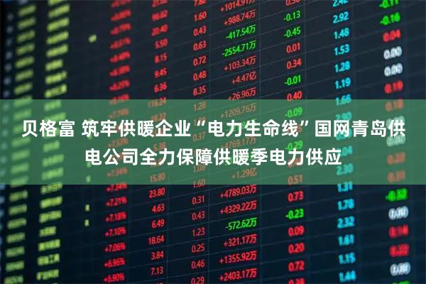 贝格富 筑牢供暖企业“电力生命线”国网青岛供电公司全力保障供暖季电力供应