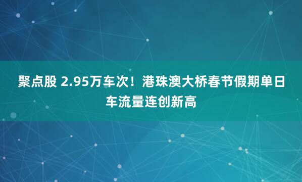 聚点股 2.95万车次！港珠澳大桥春节假期单日车流量连创新高