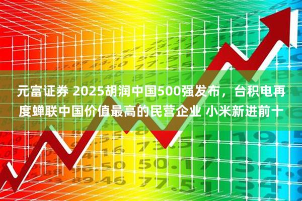 元富证券 2025胡润中国500强发布，台积电再度蝉联中国价值最高的民营企业 小米新进前十